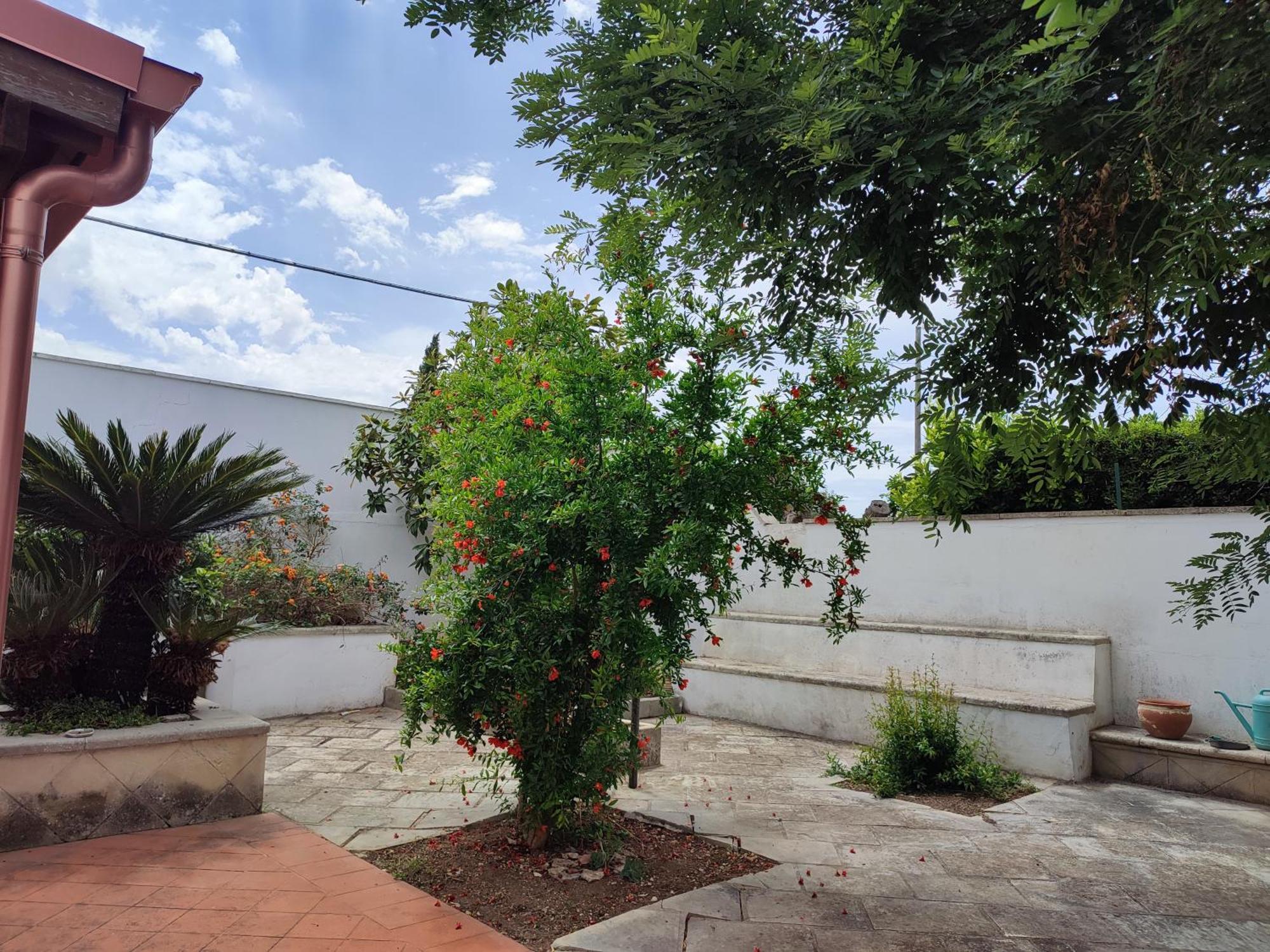 Mamasita Apartment คูโตรฟิอาโน ภายนอก รูปภาพ